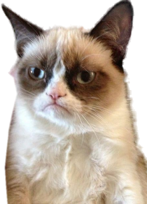 Grumpy Cat meme character PNG with transparent background