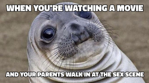 Awkward Moment Seal meme template