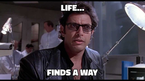 Life... Finds a Way meme template