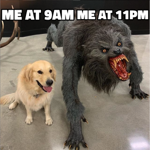 Dog vs. Werewolf meme template
