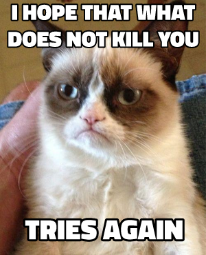 Grumpy Cat meme template