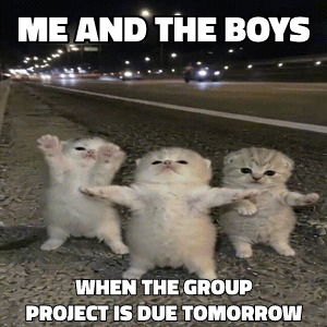 Three Kittens Dancing meme template