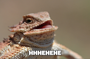 Laughing Lizard meme template