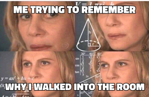 Confused Math Lady meme template