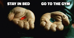 Red Pill or Blue Pill meme template