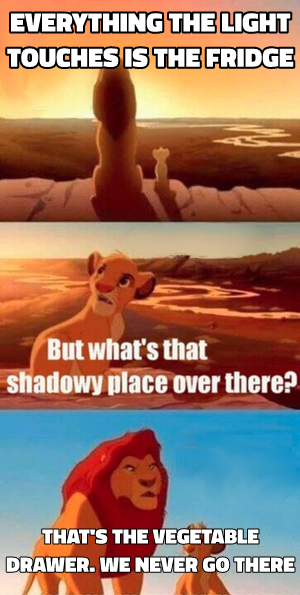 Simba Shadowy Place meme template