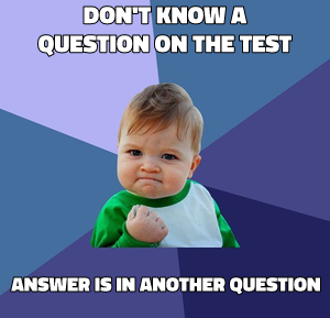 Success Kid meme template