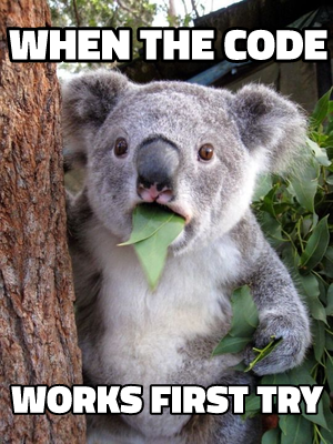 Surprised Koala meme template