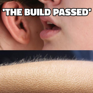 Whisper and Goosebumps meme template