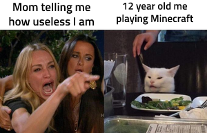 Woman Yelling at a Cat meme template