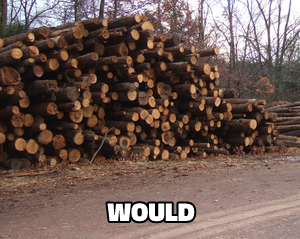 Would (Literally Wood) meme template